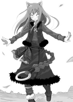 Spice & Wolf T.1