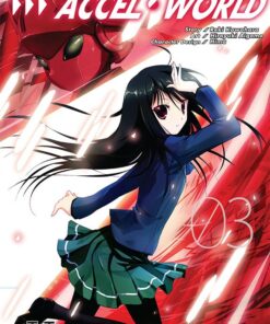 Accel World T.3
