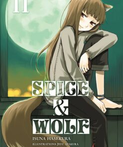 Spice & Wolf T.2 (Roman)