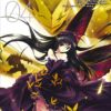 Accel World T.4