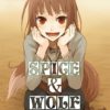 Spice & Wolf T.3 (Roman)