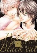 Artbook Kuroneko "Picture book of Black Cat - Aya Sakyo Art works"