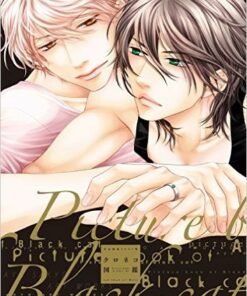 Artbook Kuroneko "Picture book of Black Cat - Aya Sakyo Art works"