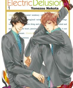 Electric Delusion - série complète