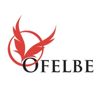 Ofelbe - Light Novel (Roman)