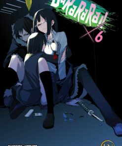 Durarara T.6 (Roman)