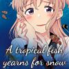 A Tropical fish yearns for snow T.3