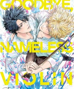 Goodbye Nameless Violin