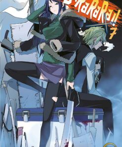 Durarara T.7 (Roman)