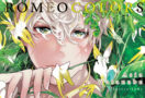 Romeo Colors (Artbook)