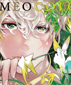 Romeo Colors (Artbook)