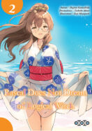 Rascal Does Not Dream of Logical Witch T.2