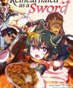 Reincarnated as a Sword T.13