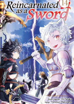 Reincarnated as a Sword T.14